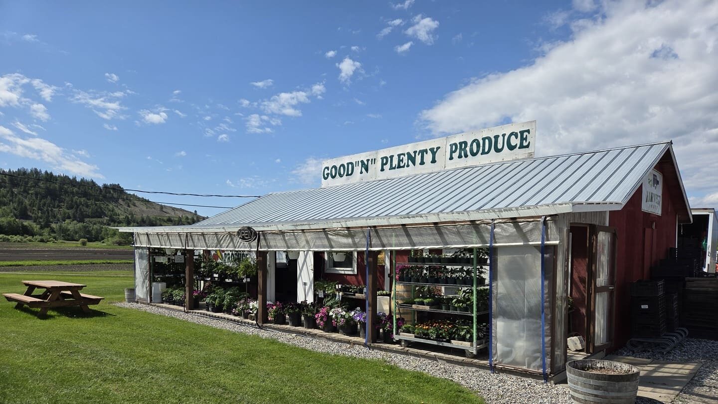 Good N Plenty Produce - Armstrong