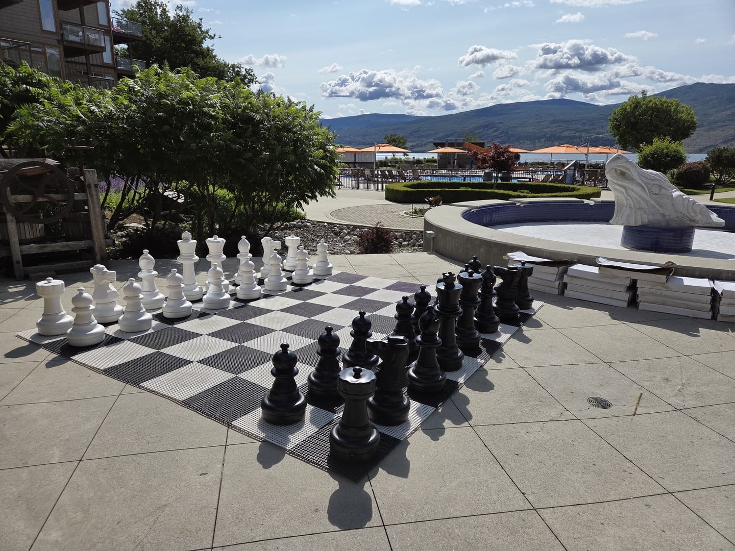 The Cove Lakeside Resort - Outdoor Games