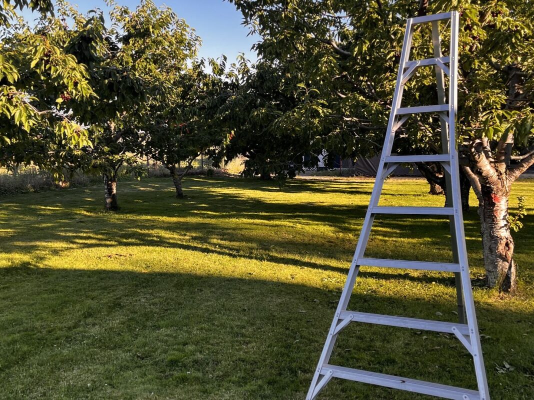 Cherrywood Farm - West Kelowna