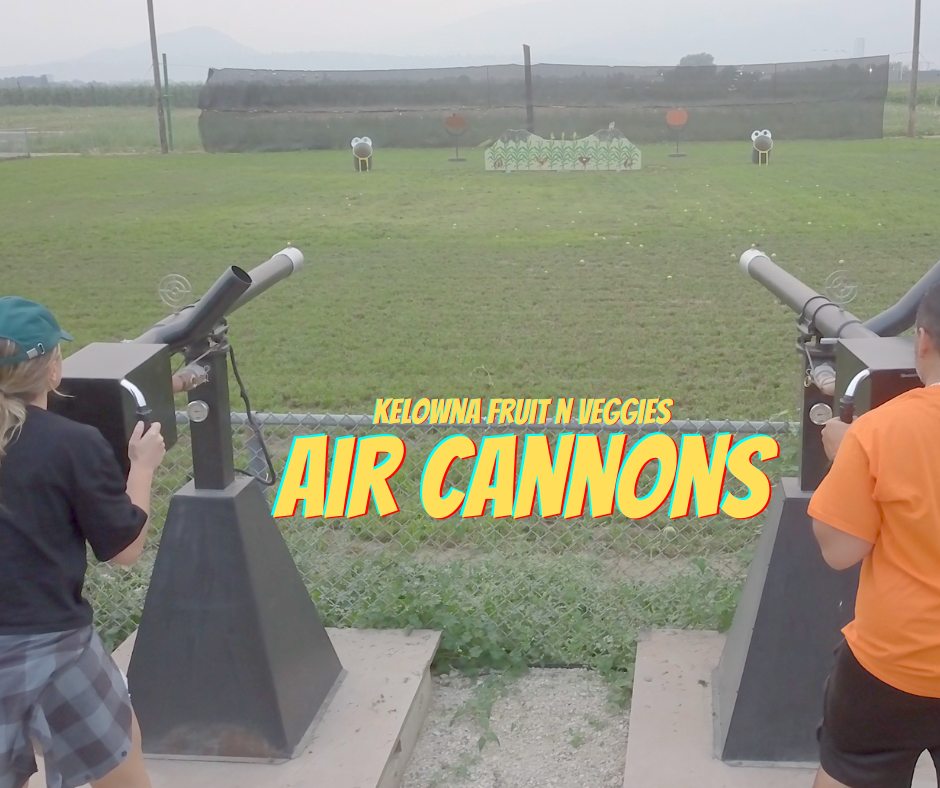 Air Cannon Shooting Tournament