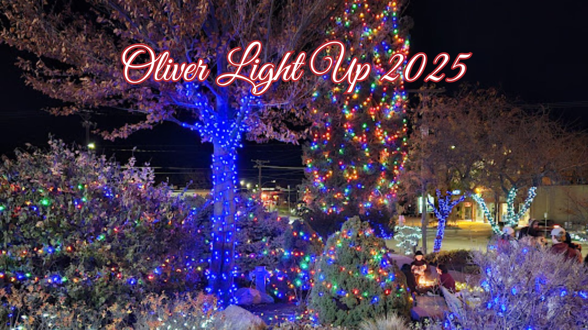 2025 Oliver Light Up – Oliver 2025 Oliver Light Up - Oliver