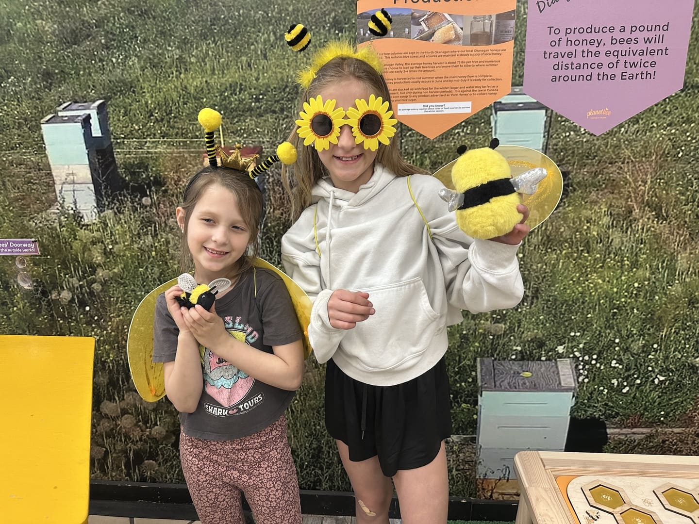 Planet Bee Honey Farm and Meadery