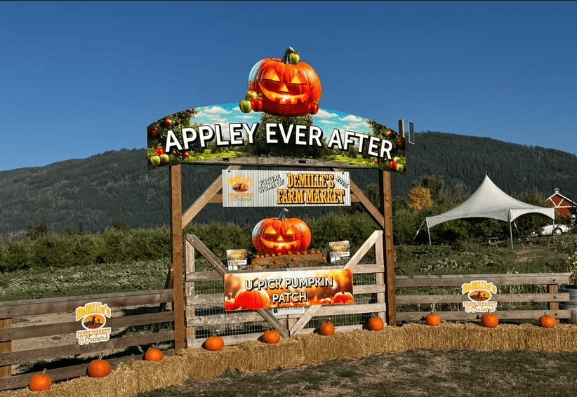DeMille's Farm Market & Orchard Pumpkin Patch