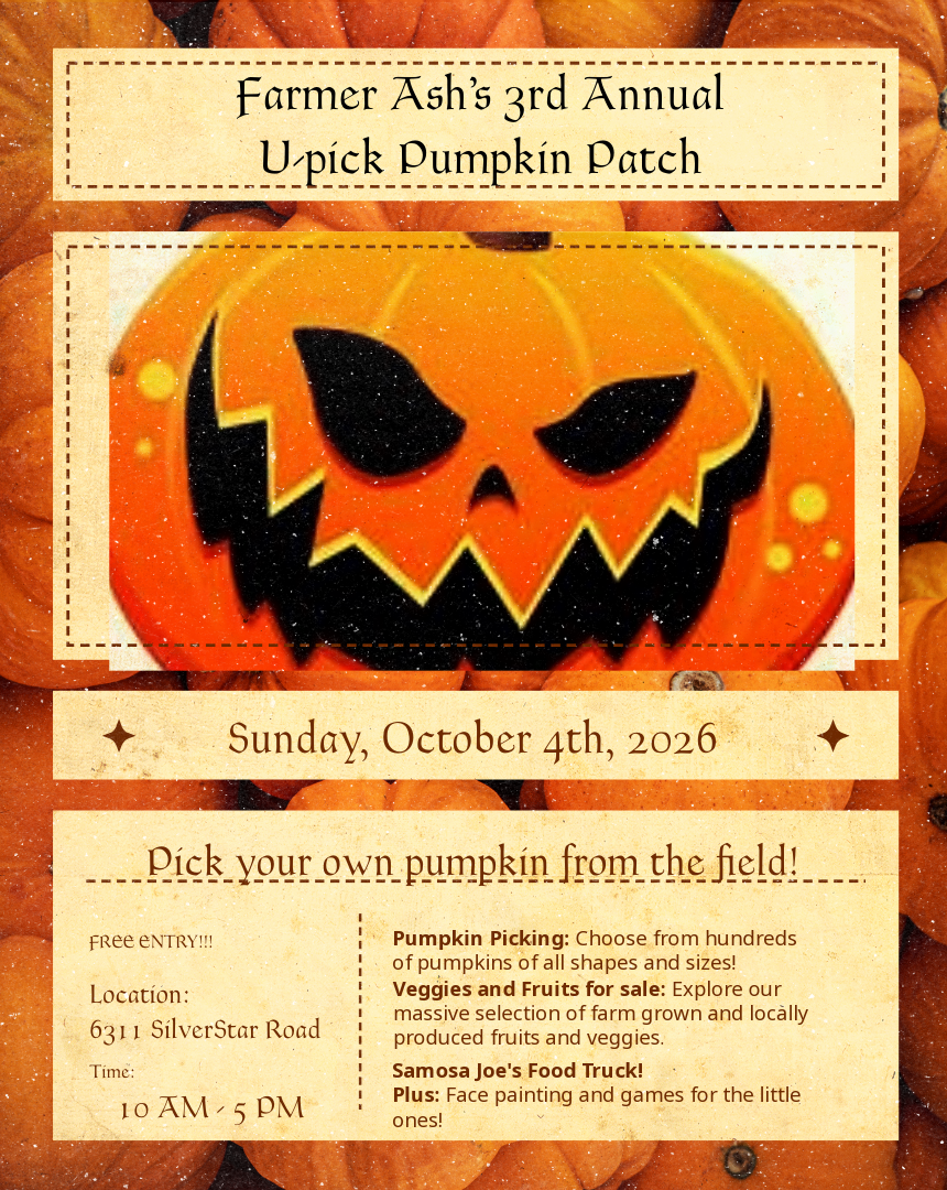 Silver Star Veggies U-Pick Pumpkin Patch – Vernon