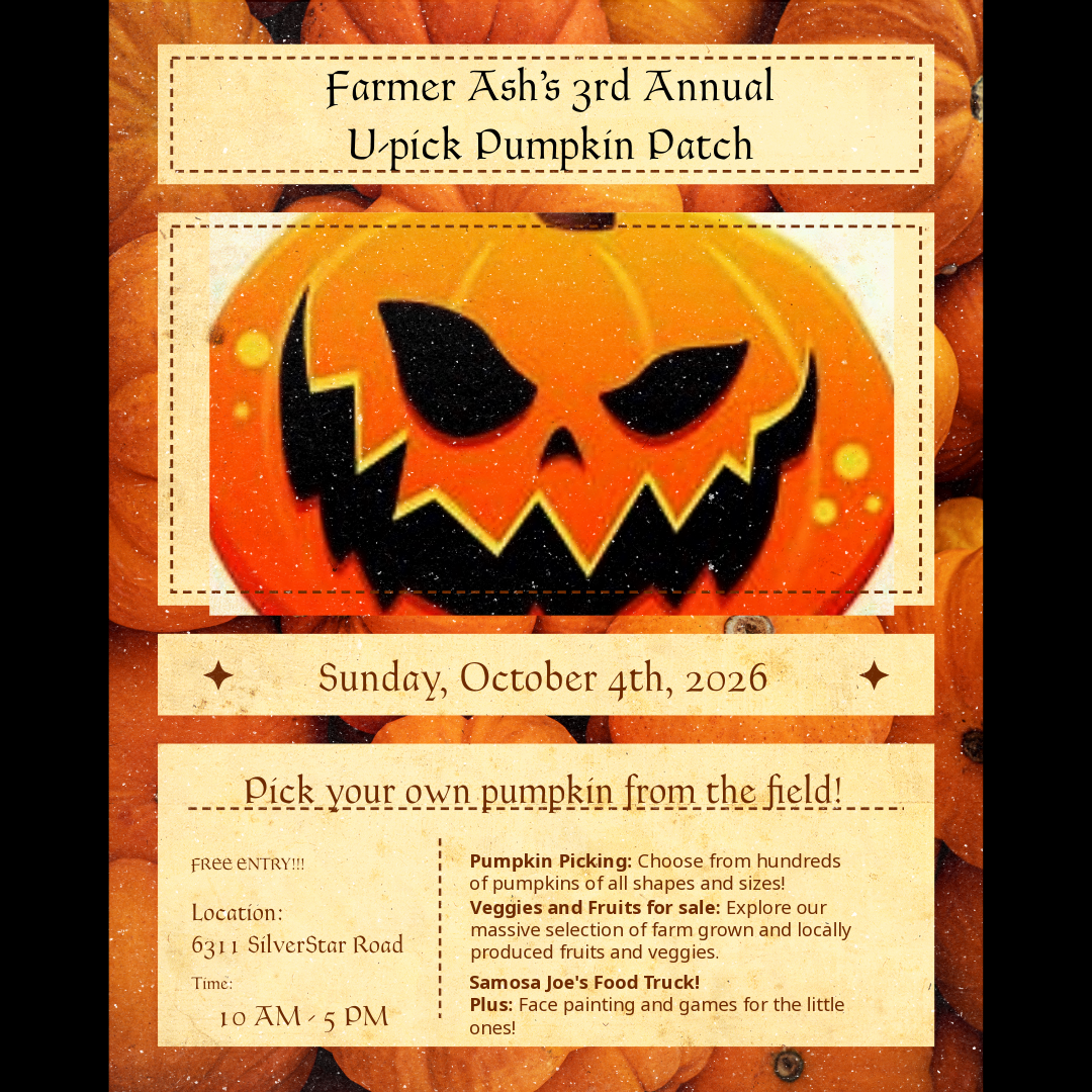 Silver Star Veggies U-Pick Pumpkin Patch – Vernon