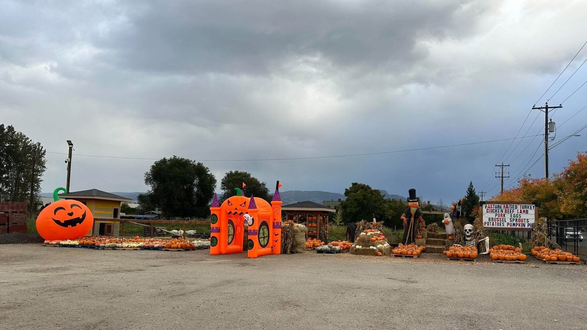 KLO Farm Market in October, Kelowna